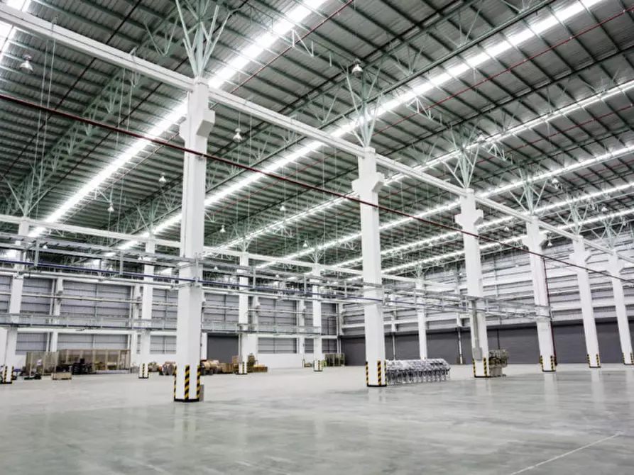 Immagine 4 di Terreno in vendita  in via della tecnica a Gruaro