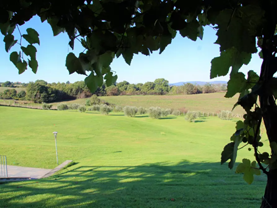 Immagine 7 di Villa in vendita  in Strada delle Cese a Campagnano Di Roma
