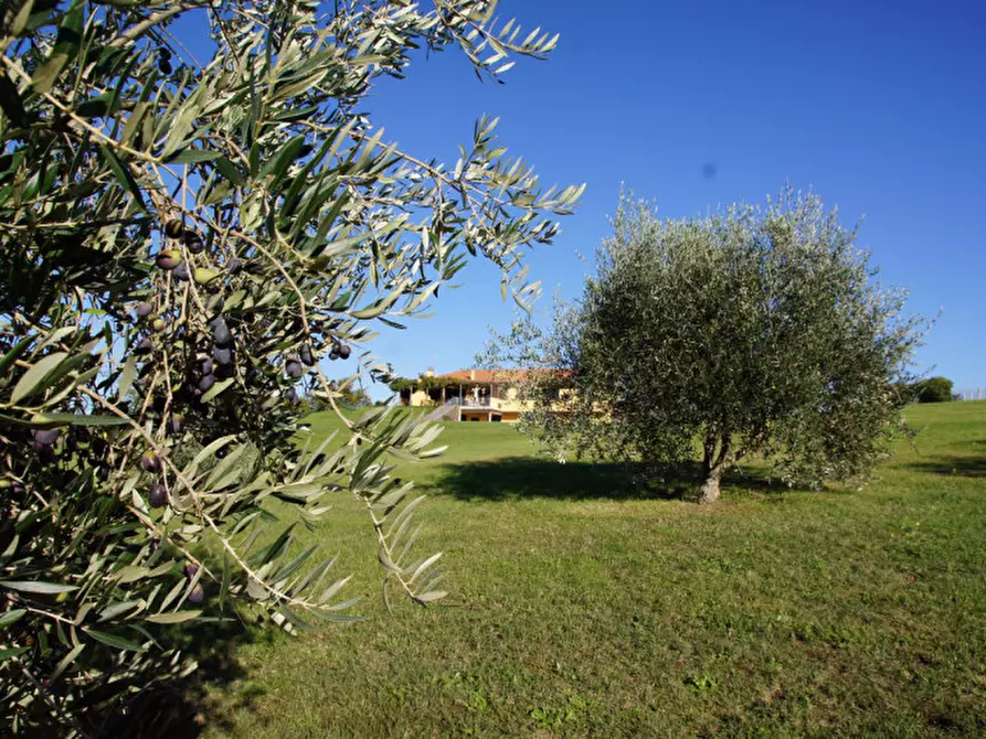 Immagine 8 di Villa in vendita  in Strada delle Cese a Campagnano Di Roma