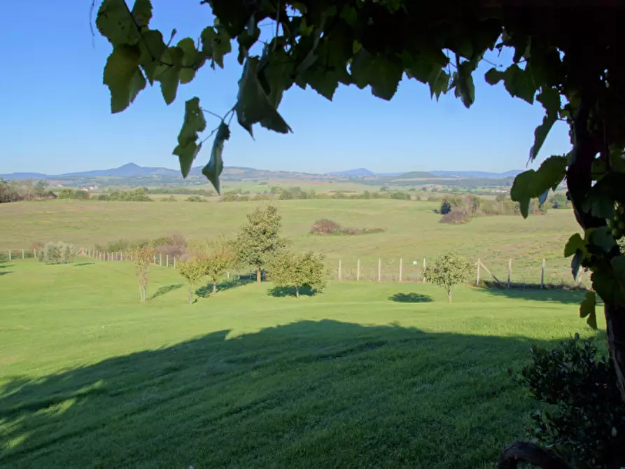 Immagine 9 di Villa in vendita  in Strada delle Cese a Campagnano Di Roma