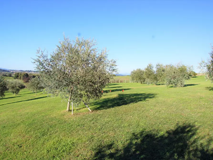 Immagine 10 di Villa in vendita  in Strada delle Cese a Campagnano Di Roma