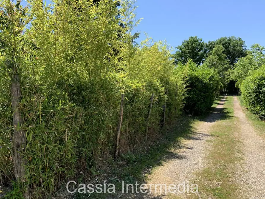 Immagine 2 di Terreno in vendita  in Via degli Orti 2192 a Nepi