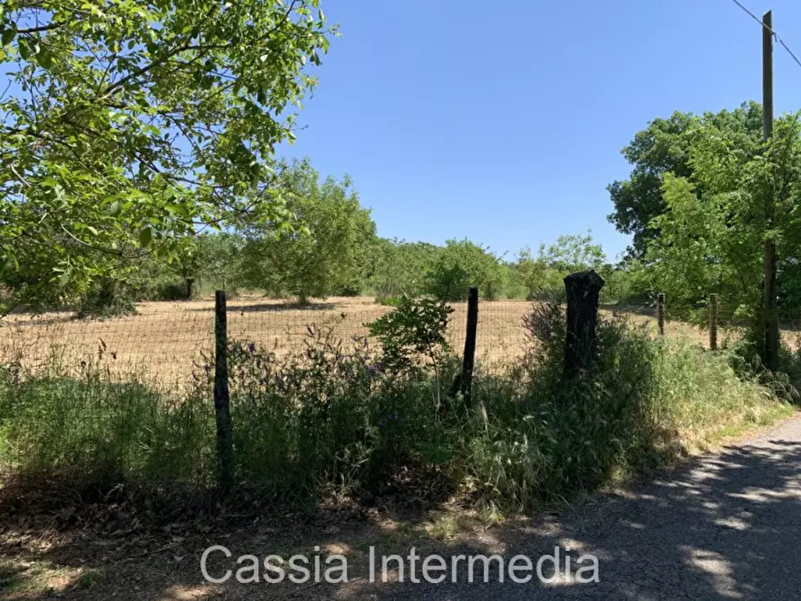 Immagine 3 di Terreno in vendita  in Via degli Orti 2192 a Nepi