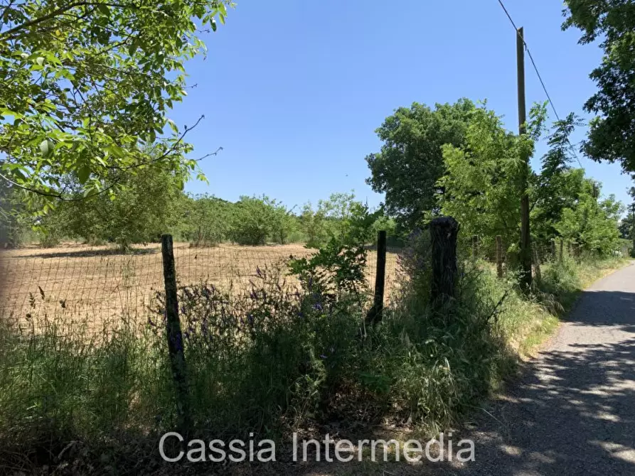 Immagine 4 di Terreno in vendita  in Via degli Orti 2192 a Nepi