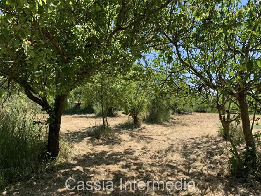 Immagine 6 di Terreno in vendita  in Via degli Orti 2192 a Nepi