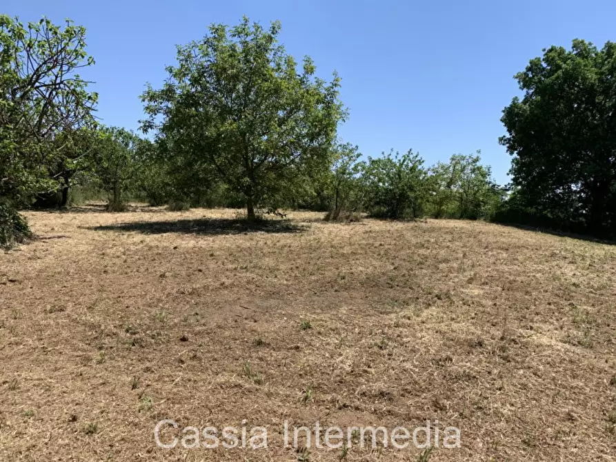 Immagine 7 di Terreno in vendita  in Via degli Orti 2192 a Nepi
