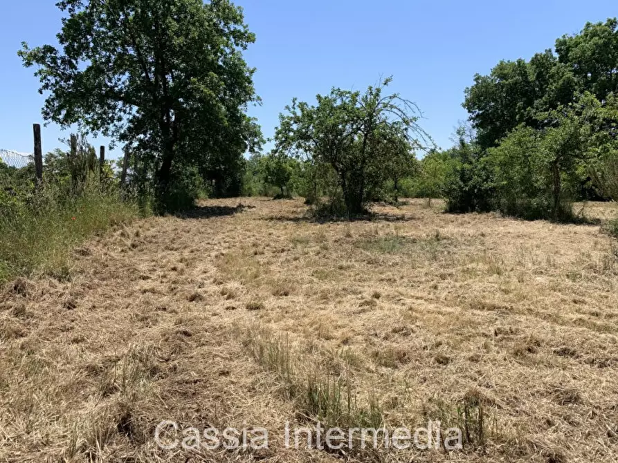 Immagine 8 di Terreno in vendita  in Via degli Orti 2192 a Nepi