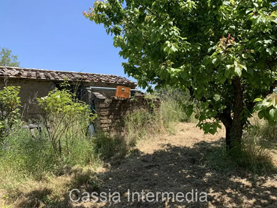 Immagine 9 di Terreno in vendita  in Via degli Orti 2192 a Nepi