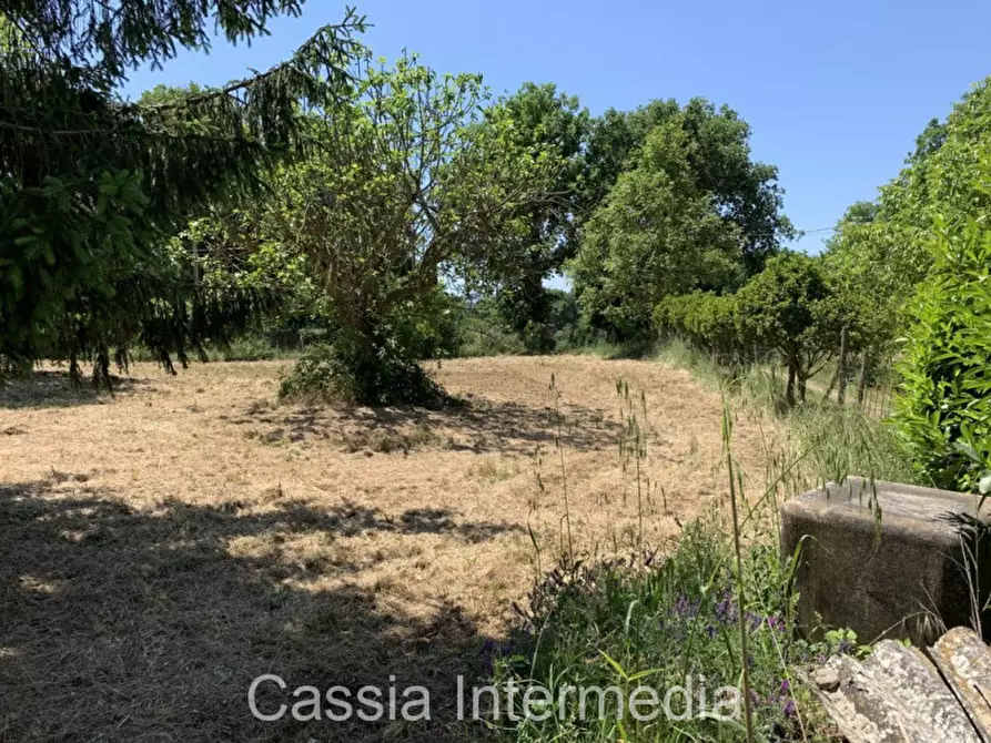 Immagine 10 di Terreno in vendita  in Via degli Orti 2192 a Nepi