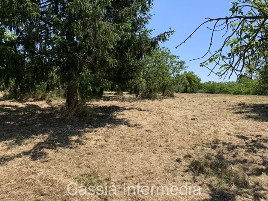 Immagine 11 di Terreno in vendita  in Via degli Orti 2192 a Nepi