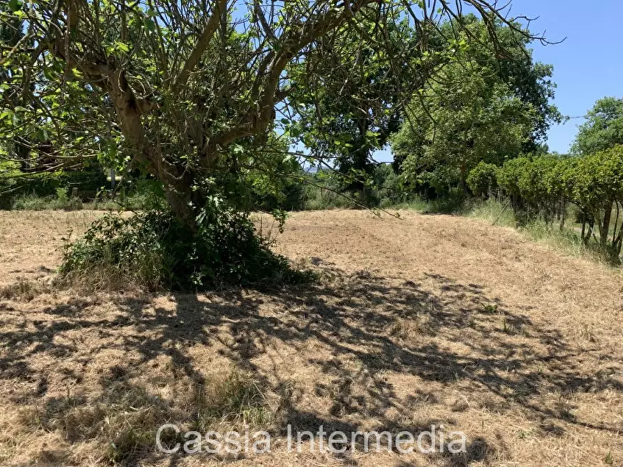 Immagine 12 di Terreno in vendita  in Via degli Orti 2192 a Nepi