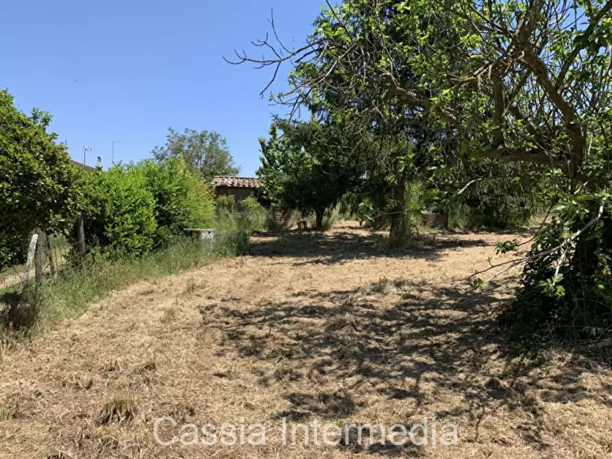 Immagine 13 di Terreno in vendita  in Via degli Orti 2192 a Nepi