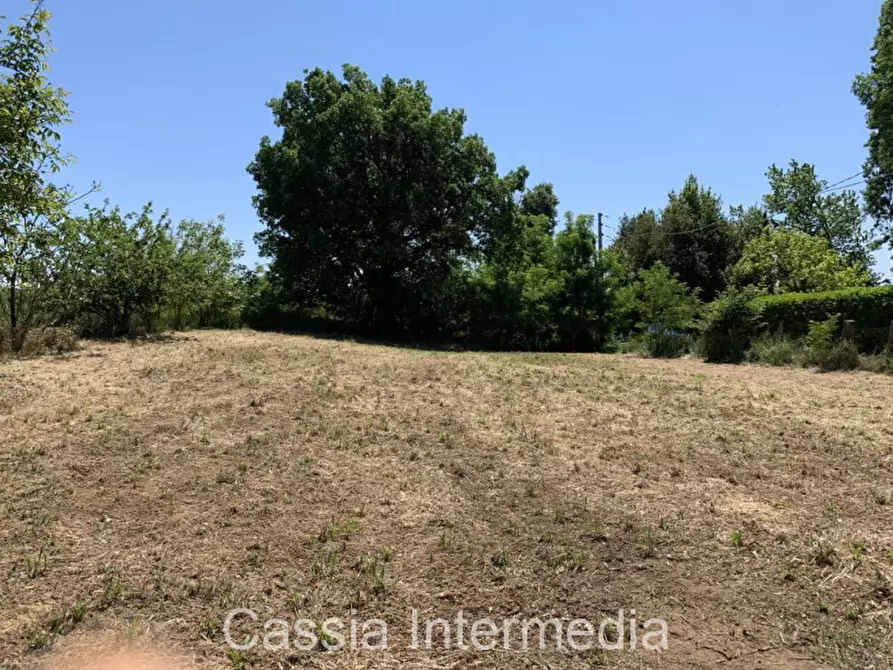 Immagine 15 di Terreno in vendita  in Via degli Orti 2192 a Nepi