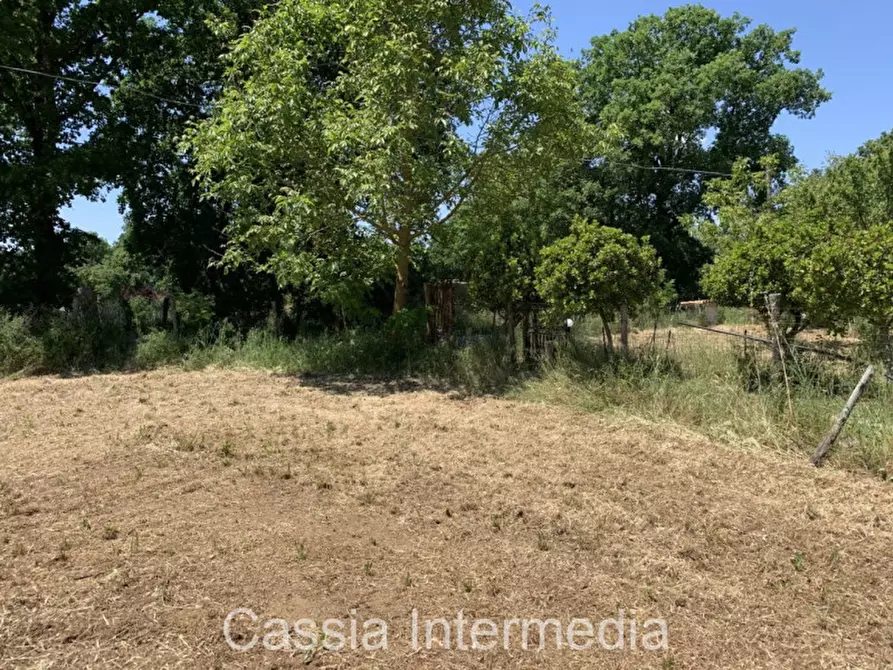 Immagine 16 di Terreno in vendita  in Via degli Orti 2192 a Nepi
