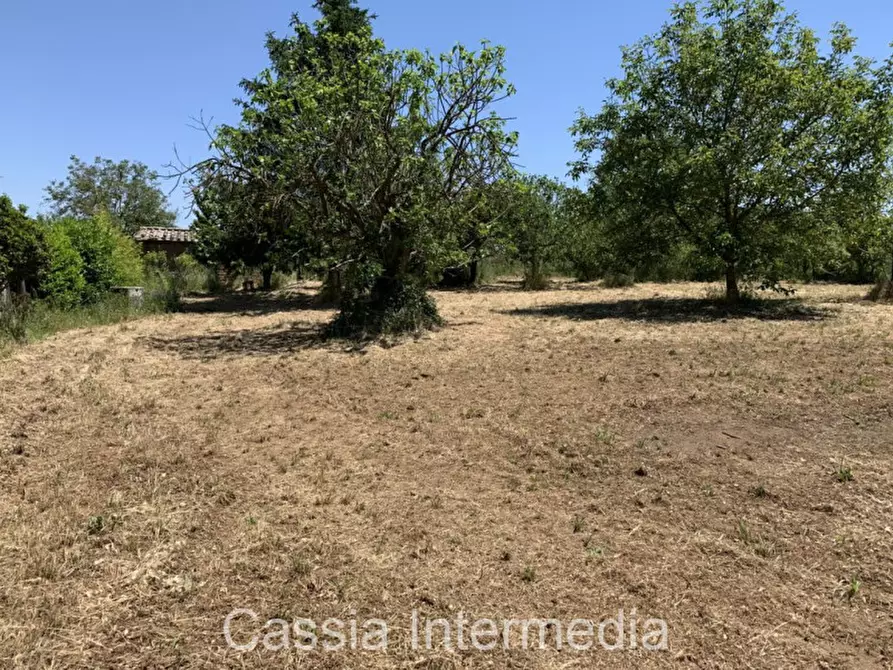 Immagine 17 di Terreno in vendita  in Via degli Orti 2192 a Nepi