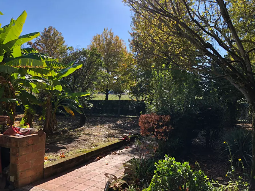 Immagine 26 di Casa indipendente in vendita  in Via Rovigana 17 a Monselice