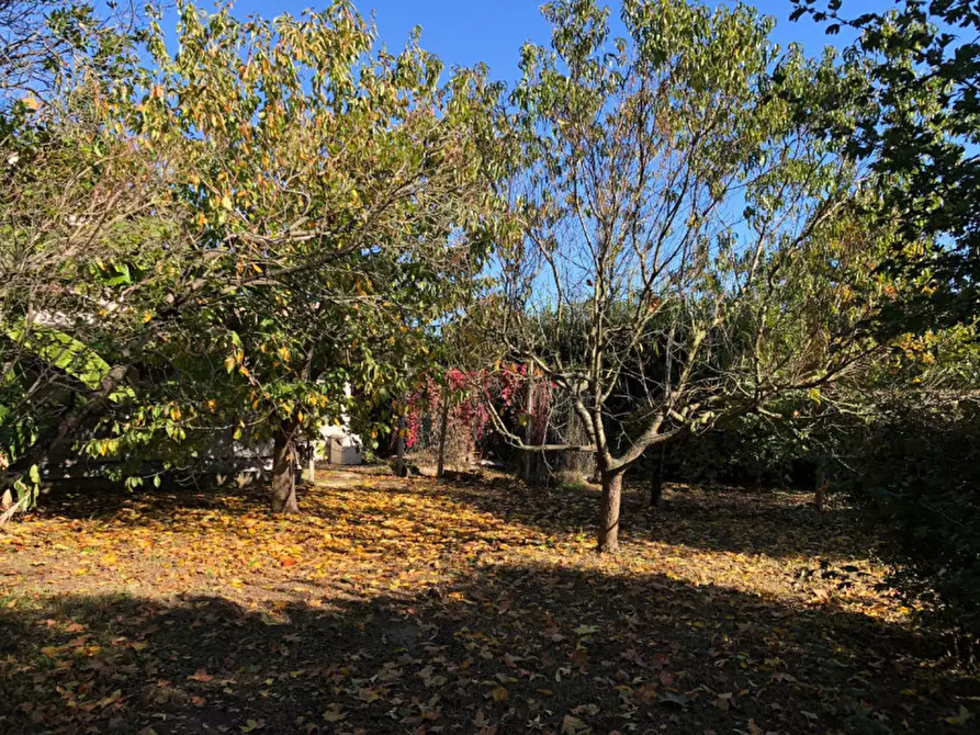 Immagine 28 di Casa indipendente in vendita  in Via Rovigana 17 a Monselice