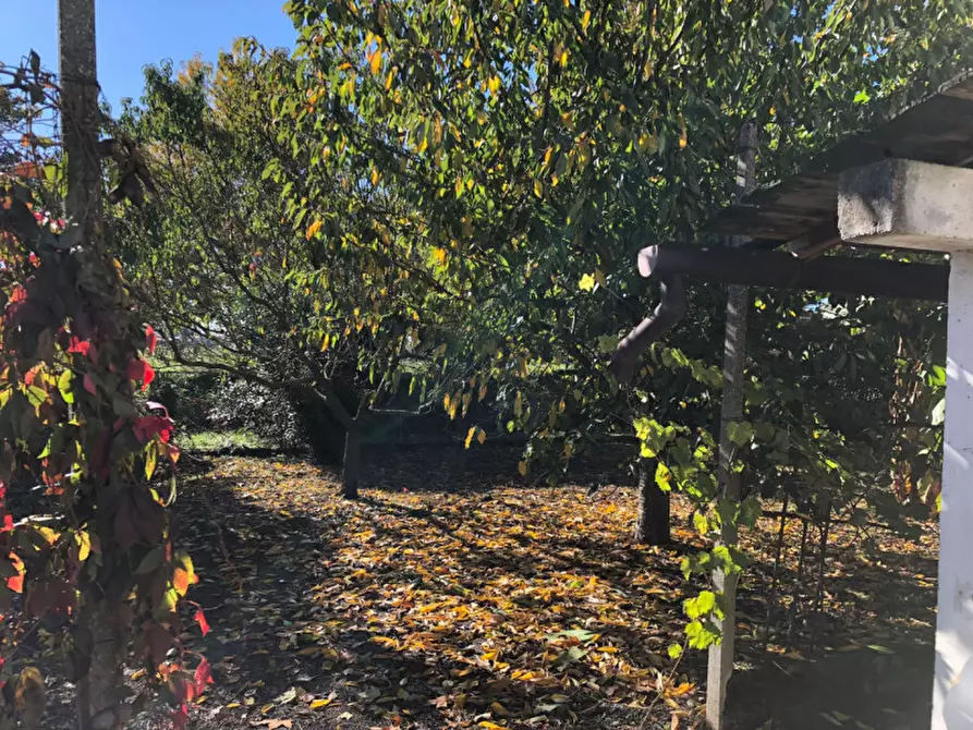 Immagine 30 di Casa indipendente in vendita  in Via Rovigana 17 a Monselice