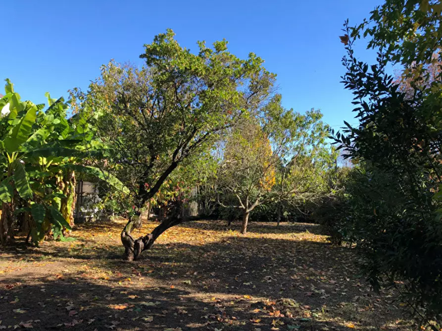 Immagine 31 di Casa indipendente in vendita  in Via Rovigana 17 a Monselice