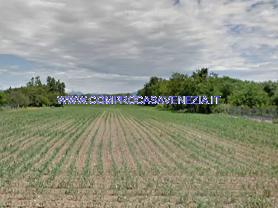 Immagine 5 di Terreno in vendita  in VIA EMILIANA a Quinto Di Treviso