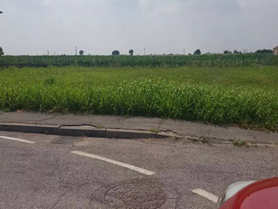 Immagine 1 di Terreno in vendita  in Via Cavour a Vighizzolo D'este