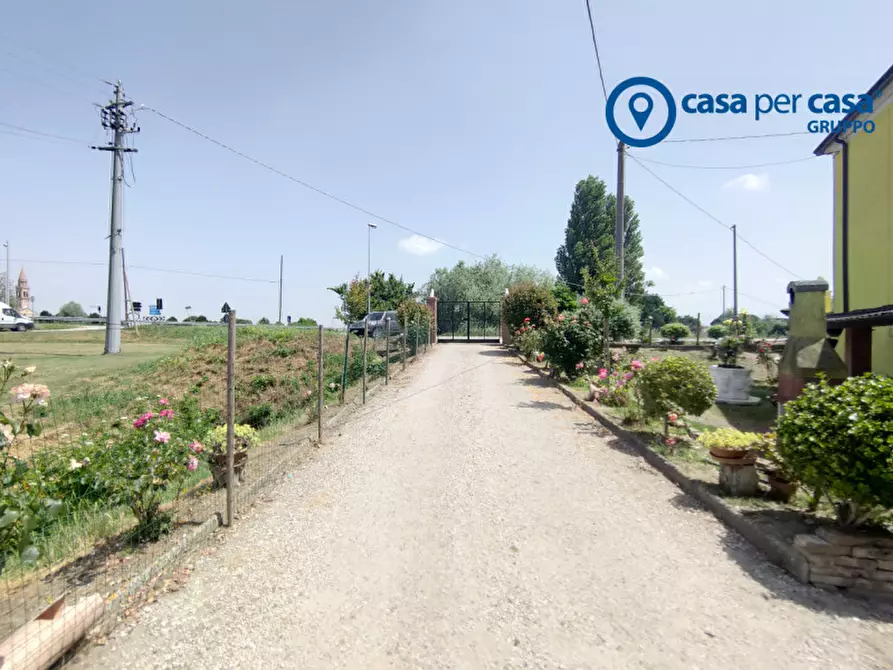 Immagine 28 di Casa indipendente in vendita  in Via Canal bianco Inferiore a Adria