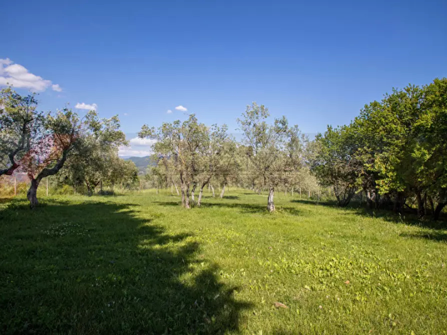 Immagine 22 di Rustico / casale in vendita  in Mercatale a San Casciano In Val Di Pesa