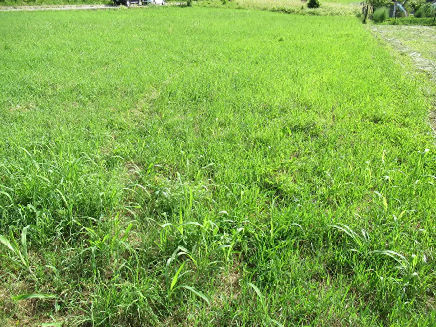 Immagine 20 di Terreno in vendita  in via san vito a Miane