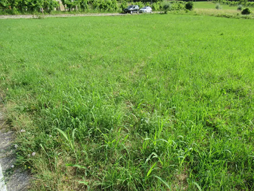 Immagine 21 di Terreno in vendita  in via san vito a Miane