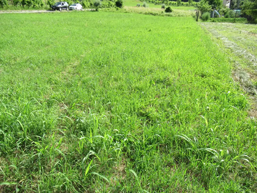 Immagine 22 di Terreno in vendita  in via san vito a Miane