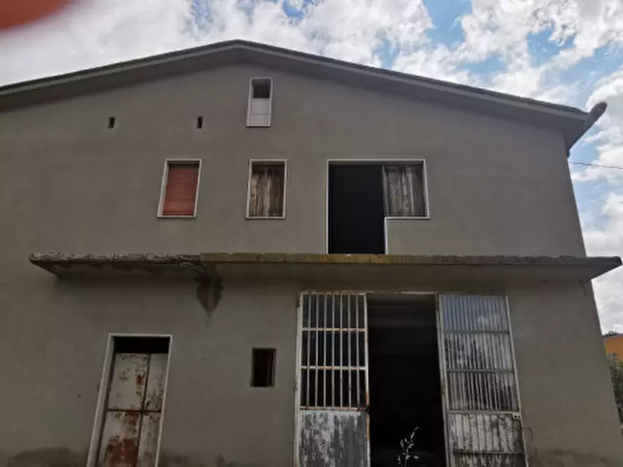 Immagine 9 di Laboratorio in vendita  in contrada Scalera a Filiano