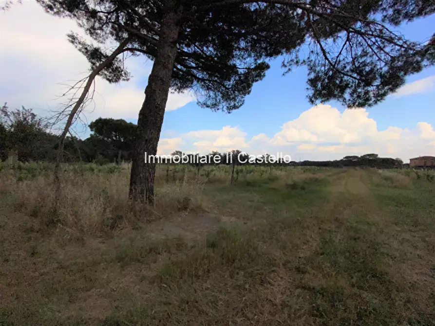 Immagine 27 di Rustico / casale in vendita  in Località Bertoni a Castiglione Del Lago
