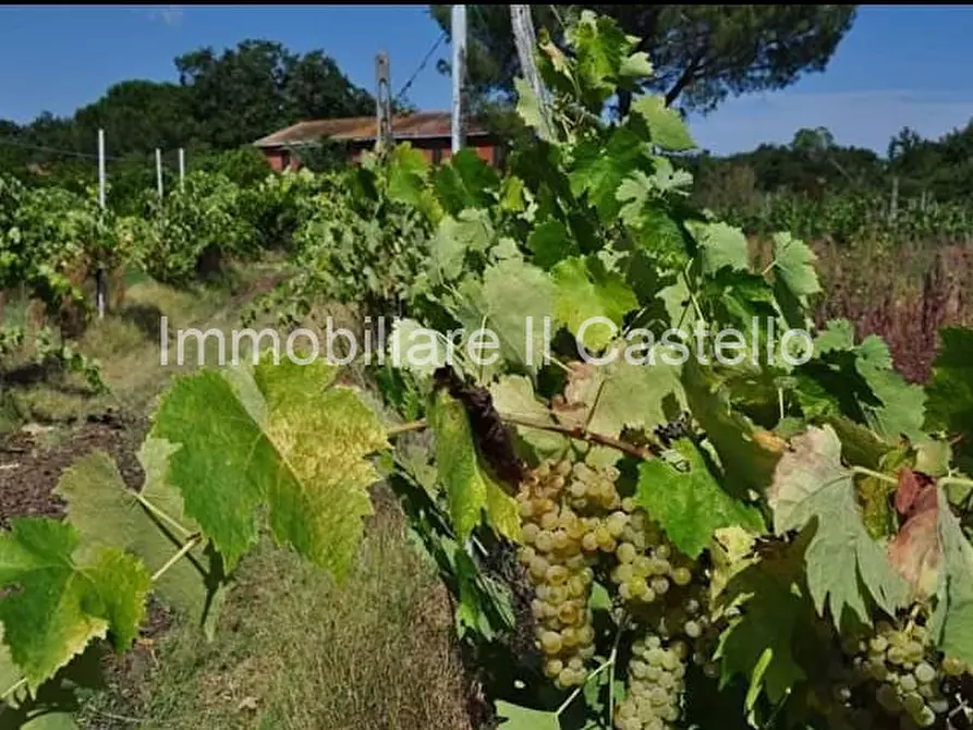 Immagine 29 di Rustico / casale in vendita  in Località Bertoni a Castiglione Del Lago