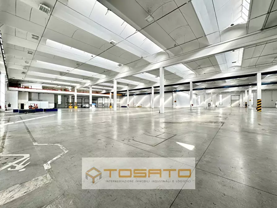 Immagine 3 di Capannone industriale in affitto  a Oppeano