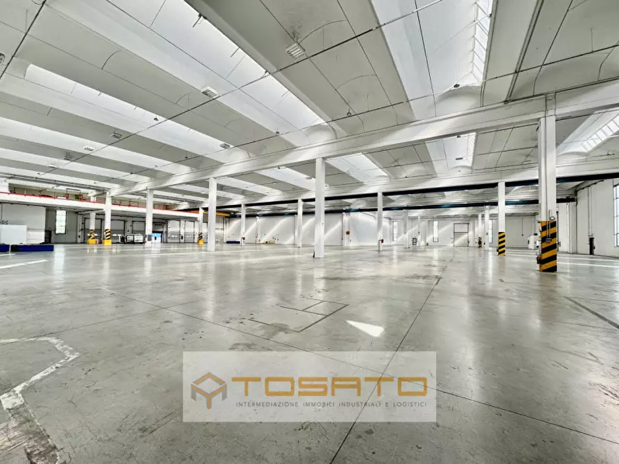 Immagine 3 di Capannone industriale in affitto  a Oppeano