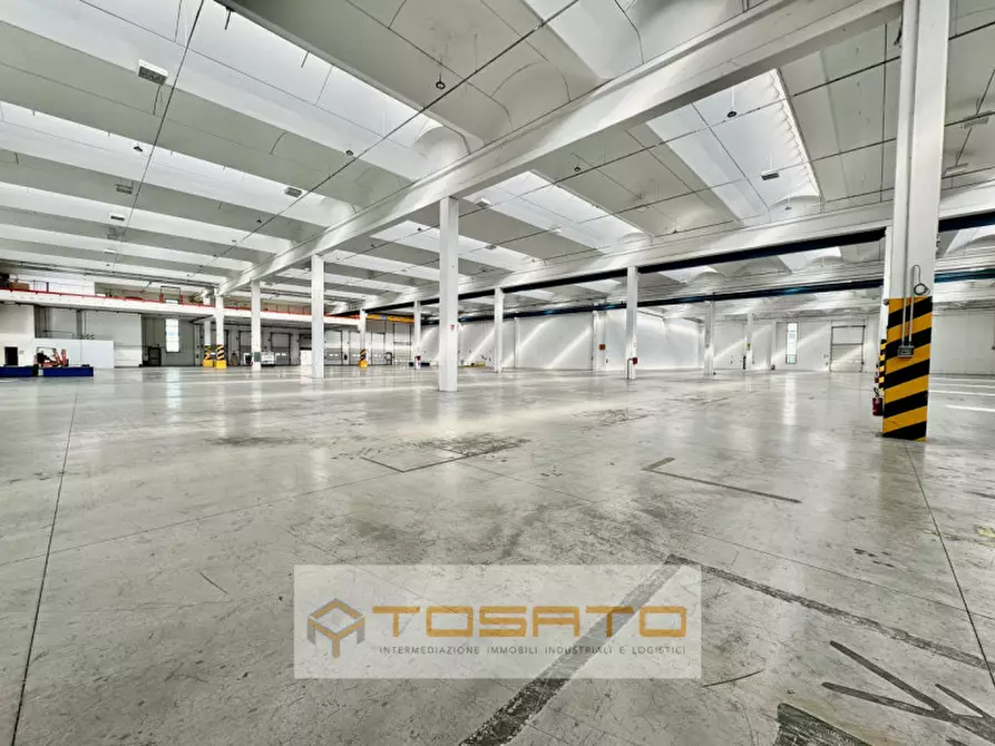 Immagine 6 di Capannone industriale in affitto  a Oppeano