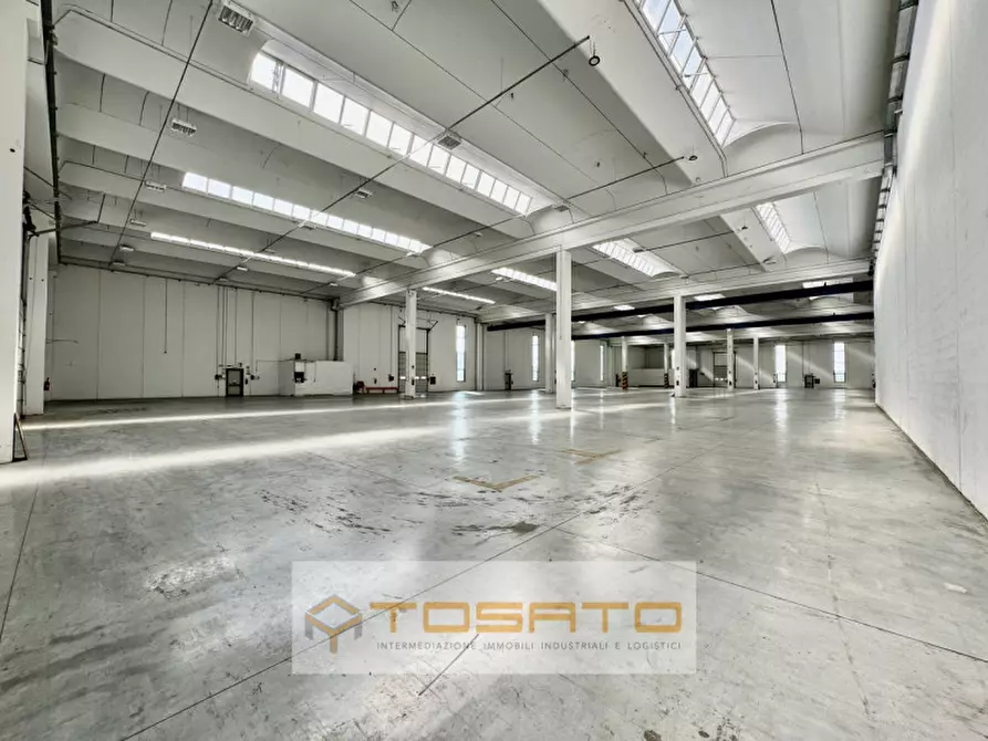 Immagine 19 di Capannone industriale in affitto  a Oppeano
