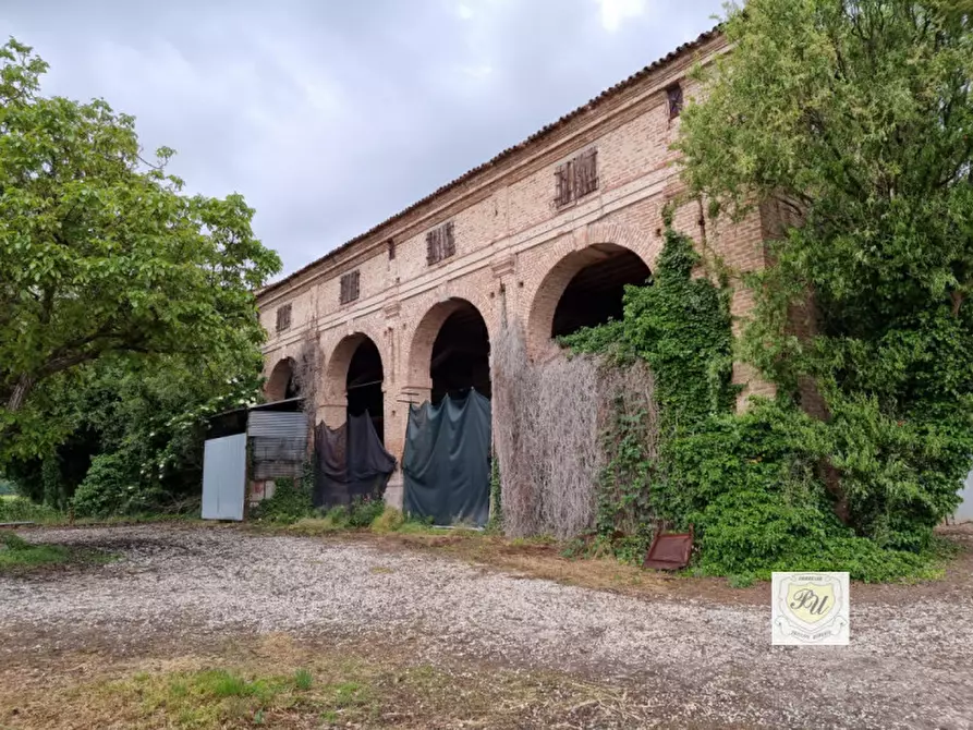 Immagine 2 di Rustico / casale in vendita  in via rana ca mori a Baone