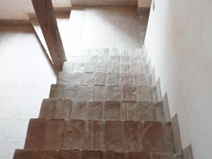 Immagine 14 di Appartamento in vendita  in Via grazia cavanna, 68 a Sissa Trecasali