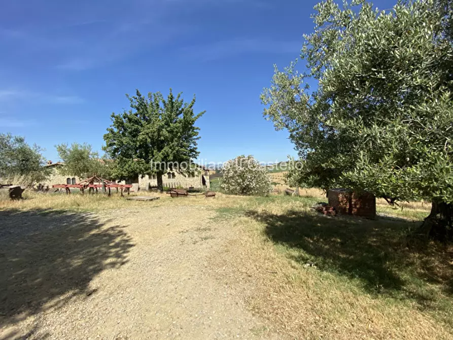 Immagine 26 di Casa indipendente in vendita  in sp304 a Castiglione Del Lago