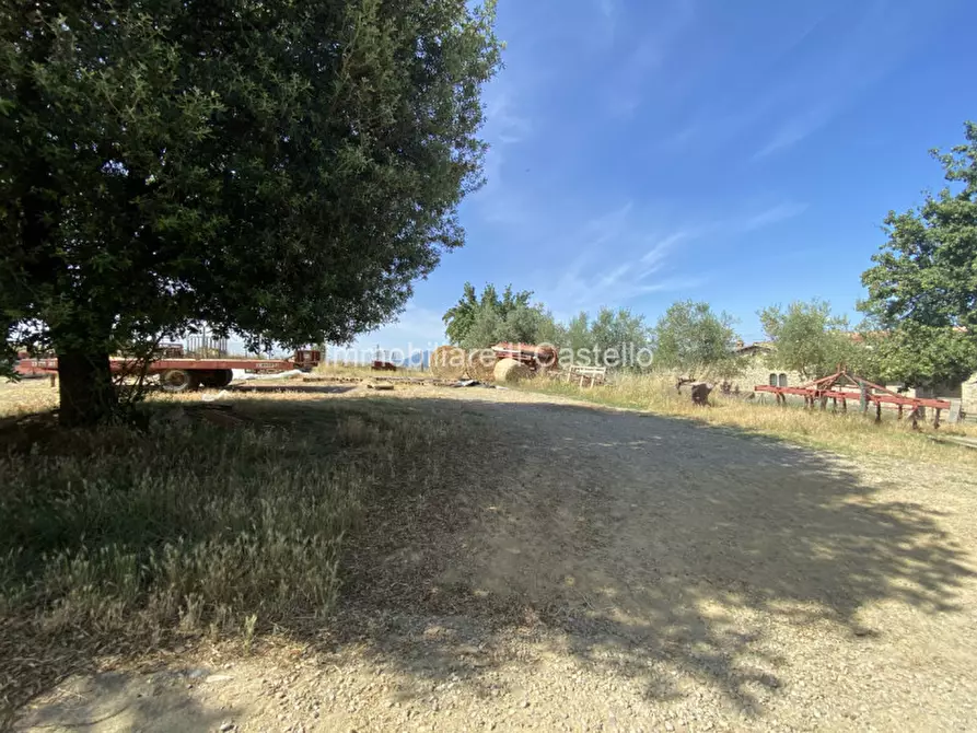 Immagine 27 di Casa indipendente in vendita  in sp304 a Castiglione Del Lago