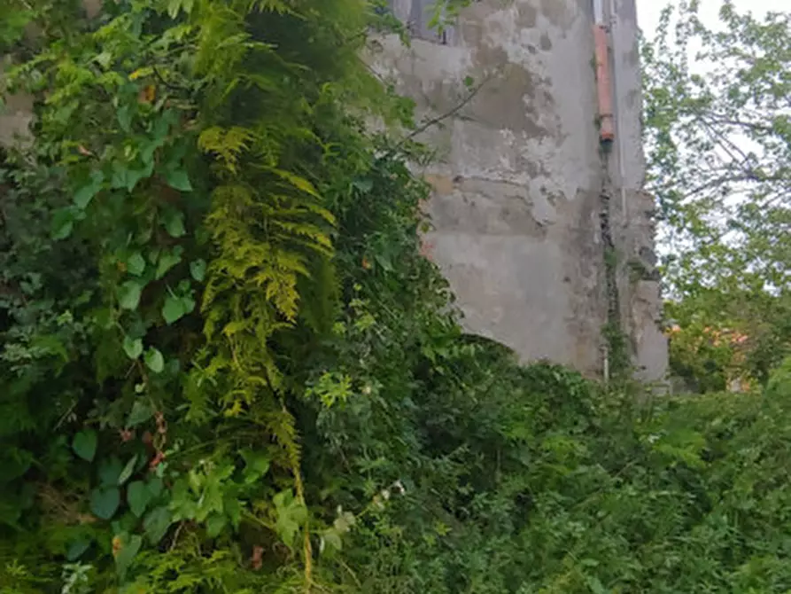 Immagine 8 di Rustico / casale in vendita  in contrada baiamonte a Santa Lucia Del Mela