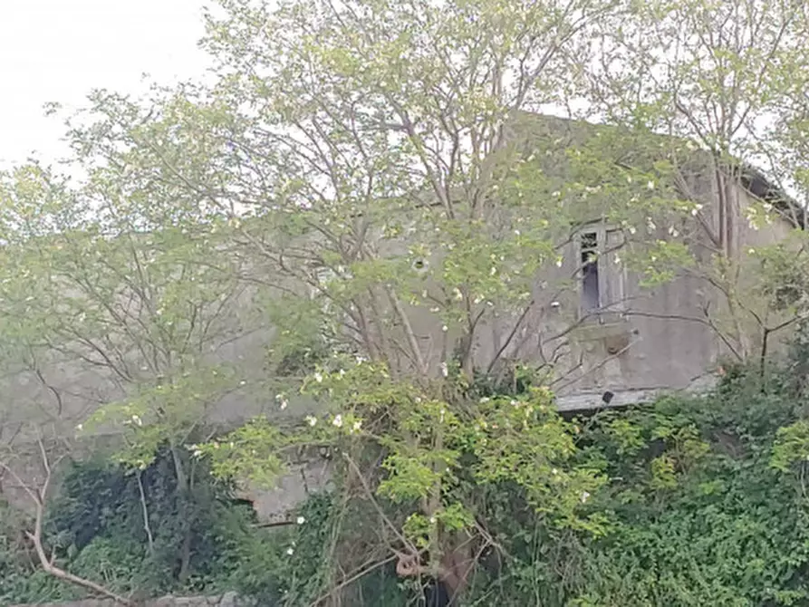 Immagine 12 di Rustico / casale in vendita  in contrada baiamonte a Santa Lucia Del Mela