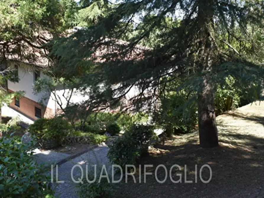 Immagine 55 di Villa in vendita  a Bertinoro