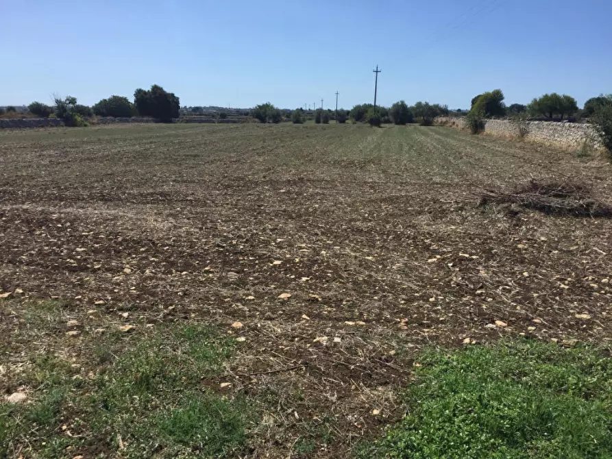 Immagine 13 di Casa indipendente in vendita  in via rocciola scrofani a Modica