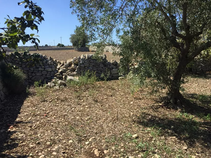 Immagine 16 di Casa indipendente in vendita  in via rocciola scrofani a Modica