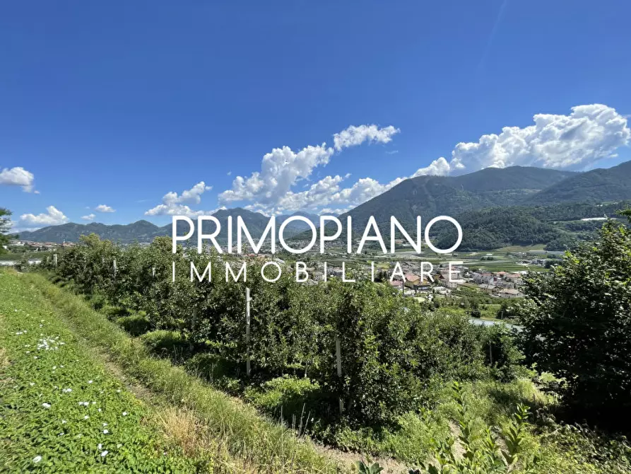 Immagine 20 di Casa bifamiliare in vendita  in Canale a Pergine Valsugana