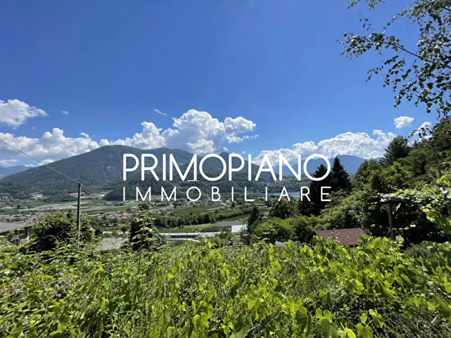 Immagine 22 di Casa bifamiliare in vendita  in Canale a Pergine Valsugana