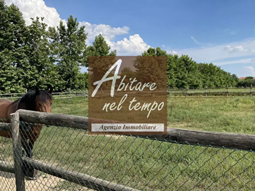 Immagine 2 di Villa in vendita  in CAMPO SAN MARTINO a Campo San Martino