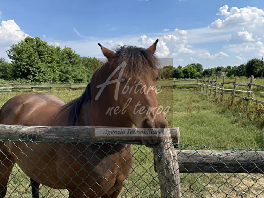 Immagine 3 di Villa in vendita  in CAMPO SAN MARTINO a Campo San Martino